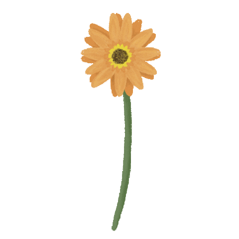 Virtual Bouquet Sticker by Hello Flowers！