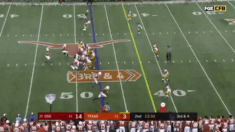longhorns GIF