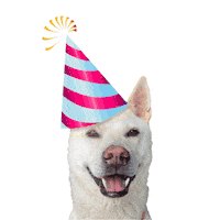 Happy Birthday Feliz Sticker