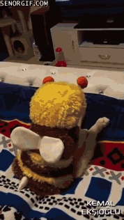 cat costume GIF