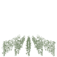 rokusfalvy_etyek bor etyek rokusfalvy rókusfalvy Sticker