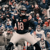 Get Some Da Bears GIF