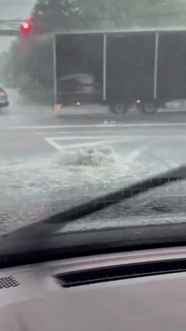 Water Pours From Storm Drain Amid Heavy Rain in New Jersey