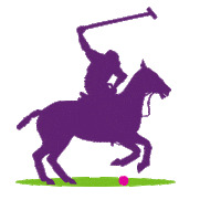Horse Polo Sticker by Chestertons