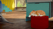 Cat Sleeping GIF by MightyMike