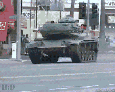 cat driving GIF by Cheezburger