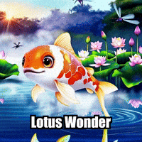 Koi Fish Awe GIF by TheConfishius