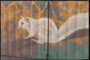 Toronto Squirrels GIF by Visual Smugglers