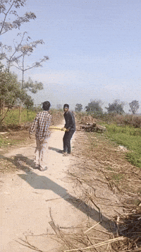 Cricket Bat GIF