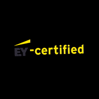Ernstandyoung GIF by EY MY Careers