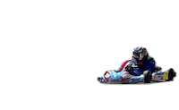 gennycitarella7 energy drive kart karting Sticker