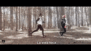 Dance Video GIF by TheFactory.video