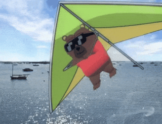 Bear Flying GIF by Bobo Memes