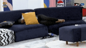 Bbnaija GIF by Big Brother Naija