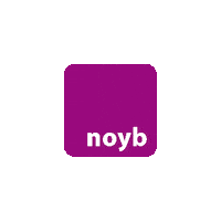Privacy Ngo Sticker by noyb