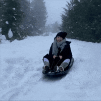 Sledding Snow Day GIF by Blake Lively Fan