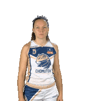 Basketball Chomutov Sticker by Levharti
