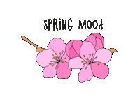 elenamaximova mood flowers spring Sticker