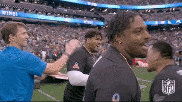 Nfl Pro Bowl Football GIF by NFL