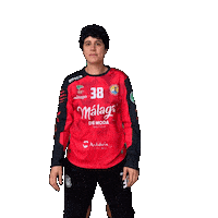 X-Wing Handball Sticker by Club Balonmano Femenino Málaga Costa del Sol