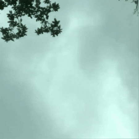 Marie Möör Clouds GIF by THEOTHERCOLORS