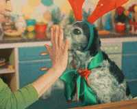 high five santa claus office GIF by The Elves!