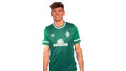Nick Wolle Sticker by SV Werder Bremen
