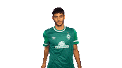Fussball Sticker by SV Werder Bremen