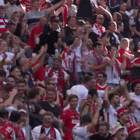 1 Fc Cologne Football GIF by 1. FC Köln