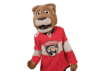 Swipe Up Ice Hockey Sticker by NHL