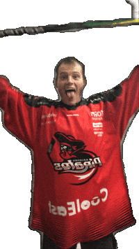 Hockey Player Pirates Sticker by AalborgPirates