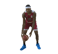 Archie Goodwin Sticker by Türkiye Basketbol Federasyonu