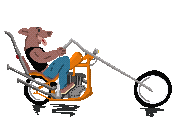 2ndBaseForLife happy dog motorcycle road trip Sticker