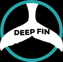 deepfintenerife dive diving tenerife deepfin GIF