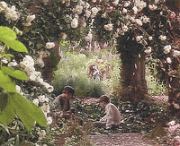Garden GIF