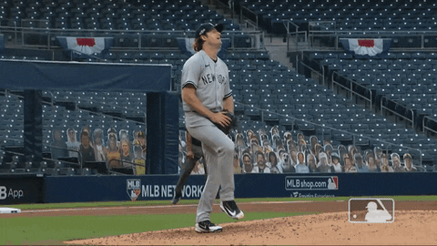 Jumping New York Yankees GIF by MLB