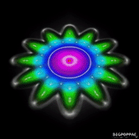 thebluesquare  GIF