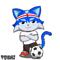 Football Win Sticker by Toshithecat