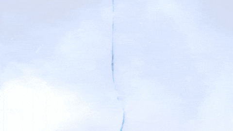 Uh Oh Fall GIF by Pokémon