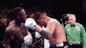 showtime boxing GIF by SHOWTIME Sports