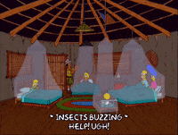 homer simpson GIF