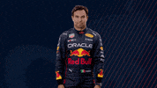 Red Bull Mexico GIF by Oracle Red Bull Racing