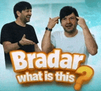 What The Hell Turkey GIF