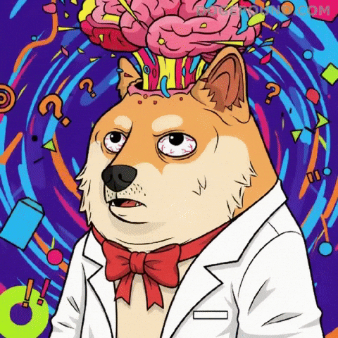 Explosion Wow GIF by Doge Pound