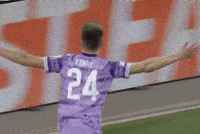 Rapid Wien GIF