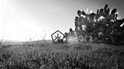 black and white art GIF by Okkult Motion Pictures
