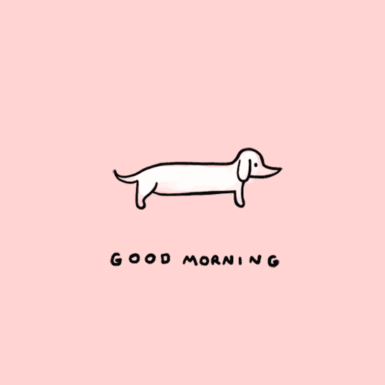 Illustrated gif. A profile view of a dachshund stretching into a downward-dog pose and then stretching up. Text, "good morning."