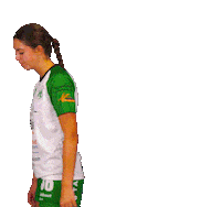 Quintushandball handball presentation eredivisie handbal Sticker