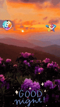 Amigos Flores GIF by Murcianys LLC