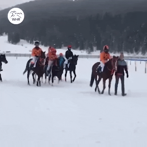 Fun Snow GIF by World Horse Racing